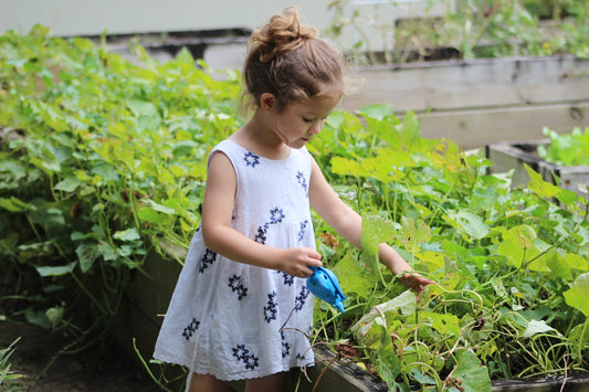 Bereid je tuin voor op de zomer: Tips en tricks voor de maart tuinmaand met DistriDeals